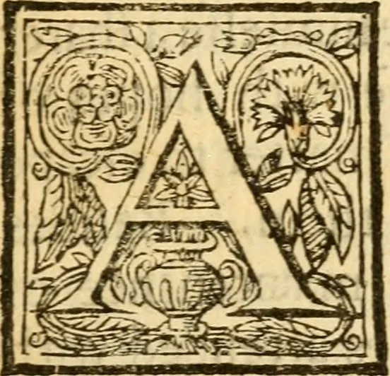 An illustration from A practicall discourse concerning God's decrees : in two parts, 1659, leaf 6