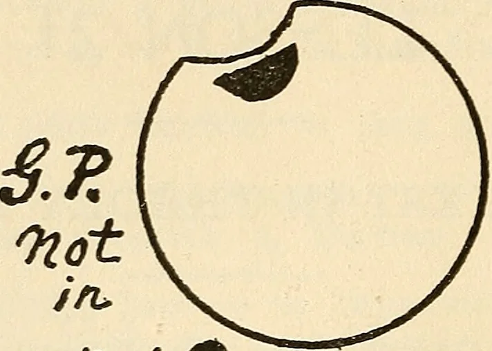 An illustration from Practical lessons on the lever escapement, its tests, errors, their detection and correction, 1916, leaf 69