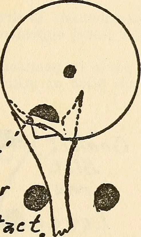 An illustration from Practical lessons on the lever escapement, its tests, errors, their detection and correction, 1916, leaf 70