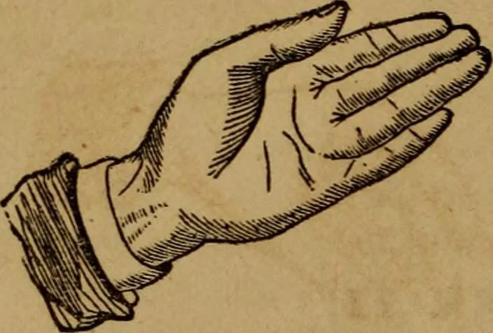 An illustration from The practical magician and ventriloquist's guide : a practical manual of fireside magic and conjuring illusions : containing also complete instructions for acquiring & practising the art of ventriloquism, 1876, leaf 19