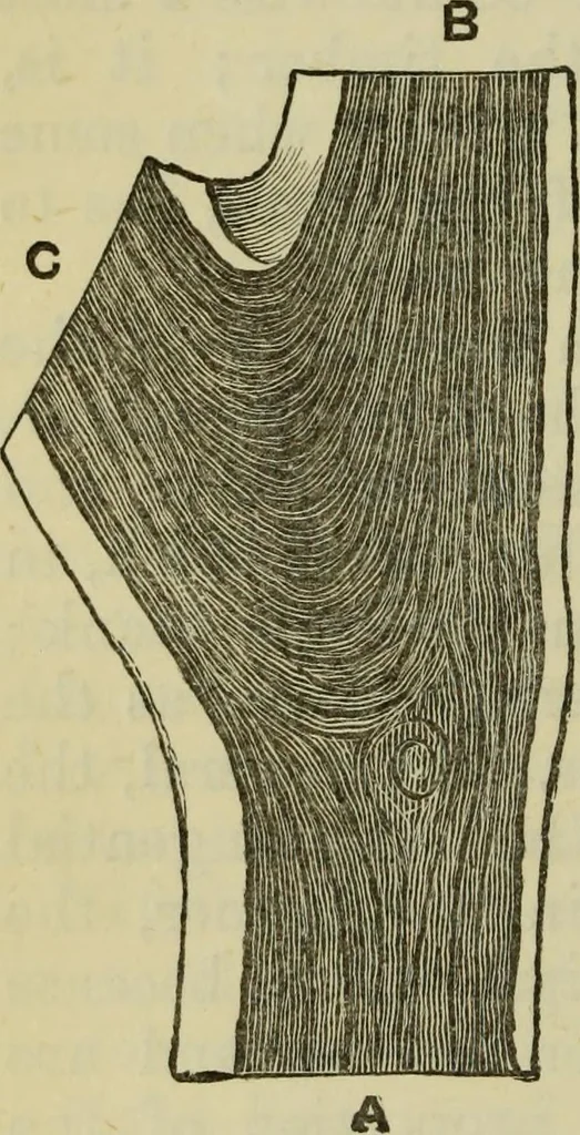 An illustration from A practical manual of house-painting, graining, marbling and sign-writing : containing full information on the processes of house-painting in oil and distemper, the formation of letters and practice of sign-writing, the principles of decorative art, a course of elementary drawing for house-painters, writers, etc., and a collection of useful receipts ; with nine coloured illustrations of woods and marbles, and numerous wood engravings, 1888, leaf 163
