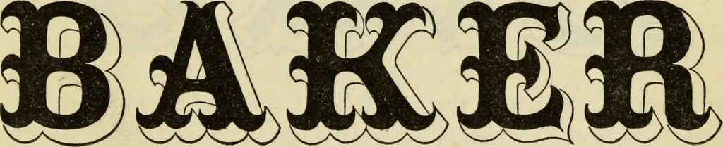 An illustration from A practical manual of house-painting, graining, marbling and sign-writing : containing full information on the processes of house-painting in oil and distemper, the formation of letters and practice of sign-writing, the principles of decorative art, a course of elementary drawing for house-painters, writers, etc., and a collection of useful receipts ; with nine coloured illustrations of woods and marbles, and numerous wood engravings, 1888, leaf 228