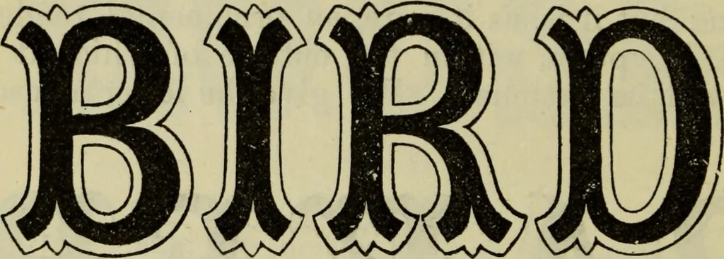 An illustration from A practical manual of house-painting, graining, marbling and sign-writing : containing full information on the processes of house-painting in oil and distemper, the formation of letters and practice of sign-writing, the principles of decorative art, a course of elementary drawing for house-painters, writers, etc., and a collection of useful receipts ; with nine coloured illustrations of woods and marbles, and numerous wood engravings, 1888, leaf 229