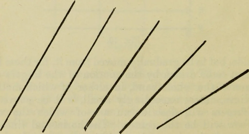 An illustration from A practical manual of house-painting, graining, marbling and sign-writing : containing full information on the processes of house-painting in oil and distemper, the formation of letters and practice of sign-writing, the principles of decorative art, a course of elementary drawing for house-painters, writers, etc., and a collection of useful receipts ; with nine coloured illustrations of woods and marbles, and numerous wood engravings, 1888, leaf 269