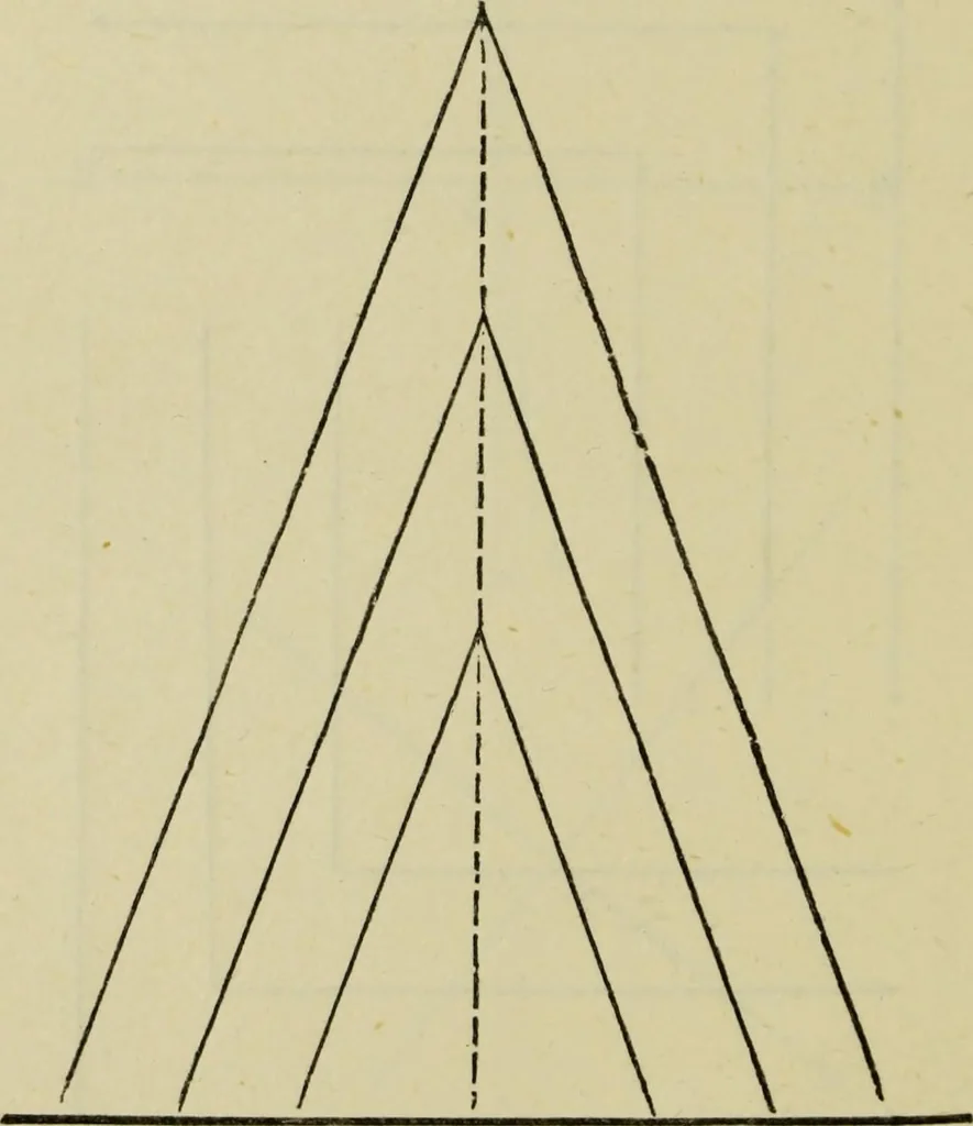 An illustration from A practical manual of house-painting, graining, marbling and sign-writing : containing full information on the processes of house-painting in oil and distemper, the formation of letters and practice of sign-writing, the principles of decorative art, a course of elementary drawing for house-painters, writers, etc., and a collection of useful receipts ; with nine coloured illustrations of woods and marbles, and numerous wood engravings, 1888, leaf 273