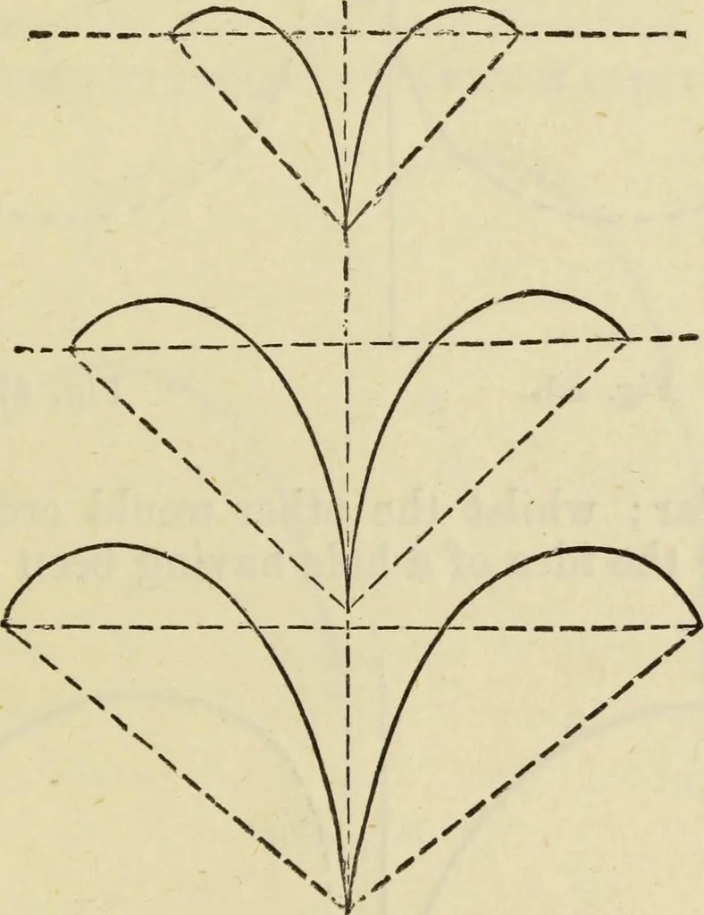 An illustration from A practical manual of house-painting, graining, marbling and sign-writing : containing full information on the processes of house-painting in oil and distemper, the formation of letters and practice of sign-writing, the principles of decorative art, a course of elementary drawing for house-painters, writers, etc., and a collection of useful receipts ; with nine coloured illustrations of woods and marbles, and numerous wood engravings, 1888, leaf 280