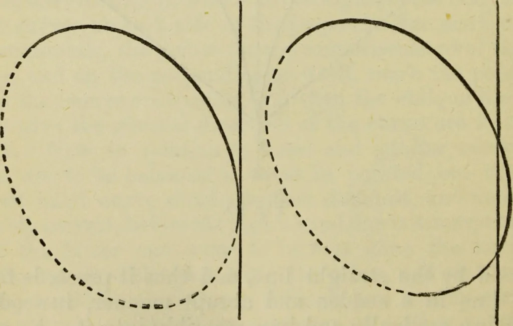 An illustration from A practical manual of house-painting, graining, marbling and sign-writing : containing full information on the processes of house-painting in oil and distemper, the formation of letters and practice of sign-writing, the principles of decorative art, a course of elementary drawing for house-painters, writers, etc., and a collection of useful receipts ; with nine coloured illustrations of woods and marbles, and numerous wood engravings, 1888, leaf 281