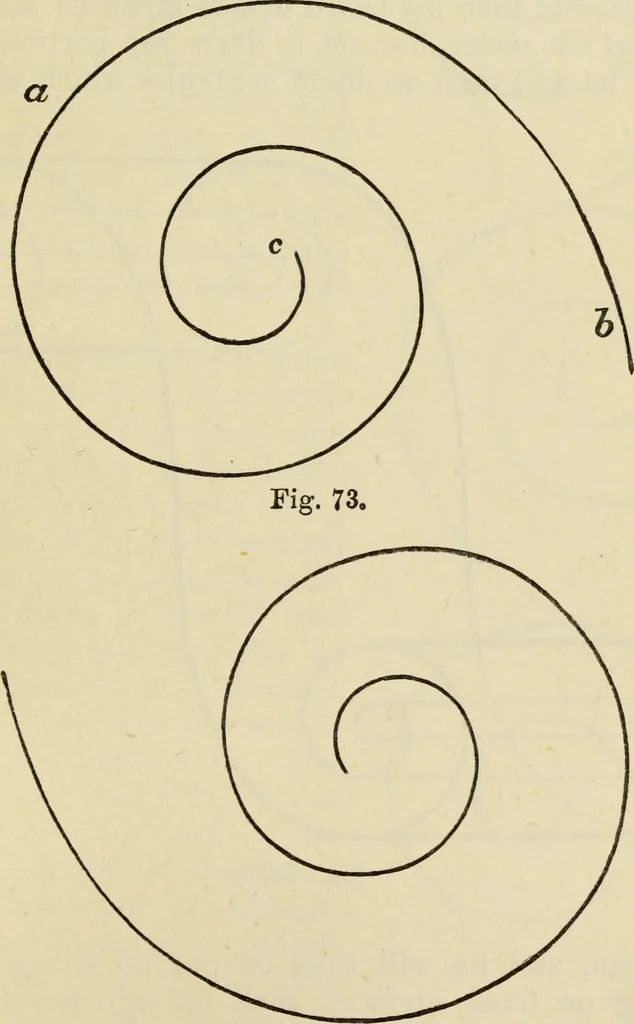 An illustration from A practical manual of house-painting, graining, marbling and sign-writing : containing full information on the processes of house-painting in oil and distemper, the formation of letters and practice of sign-writing, the principles of decorative art, a course of elementary drawing for house-painters, writers, etc., and a collection of useful receipts ; with nine coloured illustrations of woods and marbles, and numerous wood engravings, 1888, leaf 286