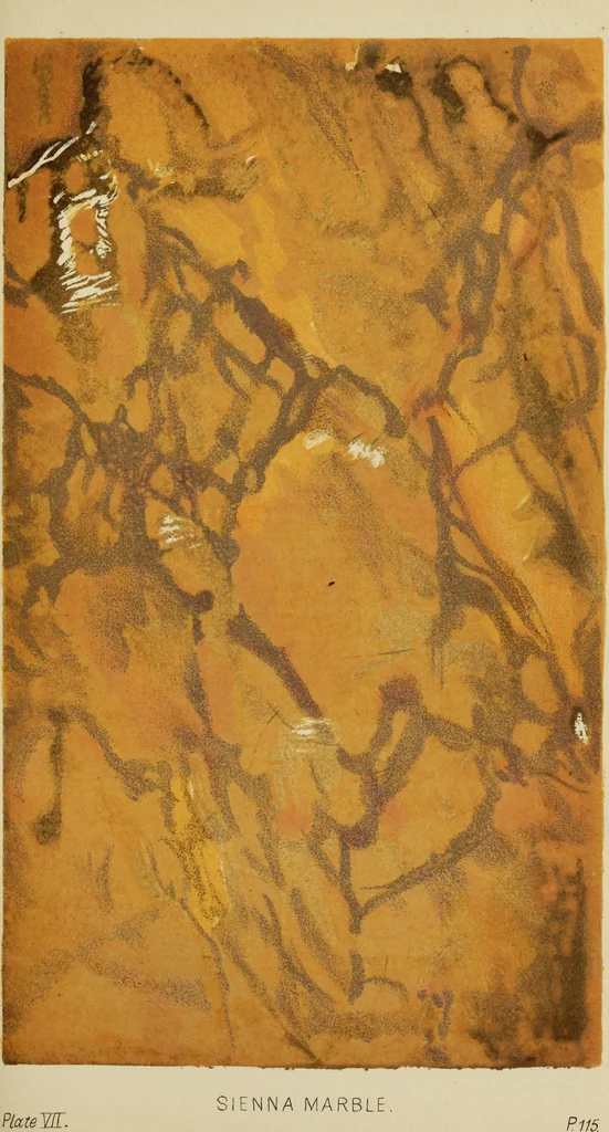 An illustration from A practical manual of house-painting, graining, marbling and sign-writing : containing full information on the processes of house-painting in oil and distemper, the formation of letters and practice of sign-writing, the principles of decorative art, a course of elementary drawing for house-painters, writers, etc., and a collection of useful receipts ; with nine coloured illustrations of woods and marbles, and numerous wood engravings, 1888, leaf 426