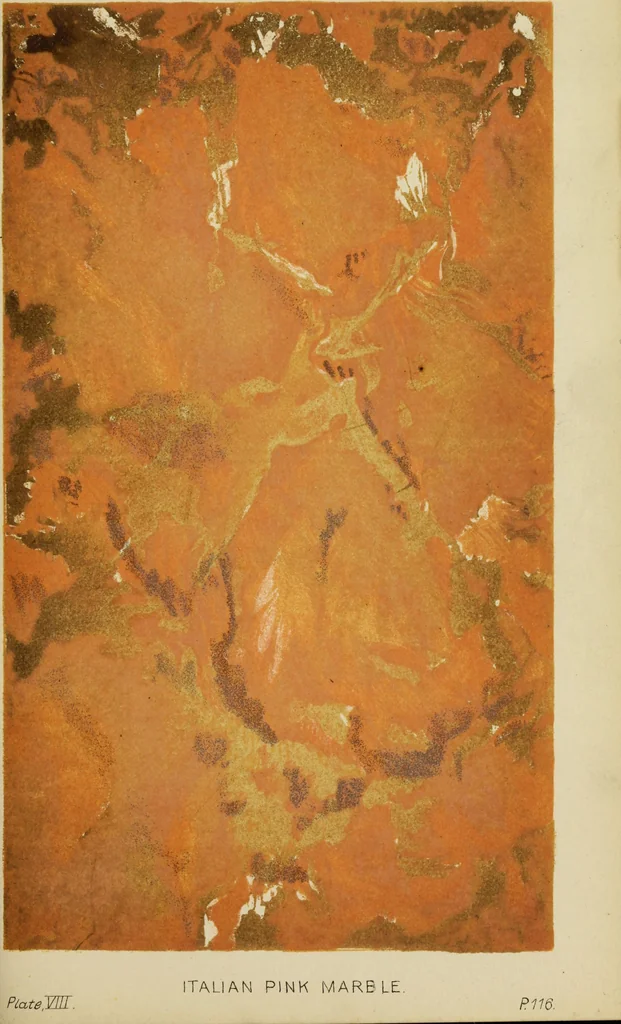 An illustration from A practical manual of house-painting, graining, marbling and sign-writing : containing full information on the processes of house-painting in oil and distemper, the formation of letters and practice of sign-writing, the principles of decorative art, a course of elementary drawing for house-painters, writers, etc., and a collection of useful receipts ; with nine coloured illustrations of woods and marbles, and numerous wood engravings, 1888, leaf 428