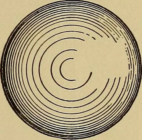 An illustration from Practical mechanical drawing and machine design self taught .., 1907, leaf 70