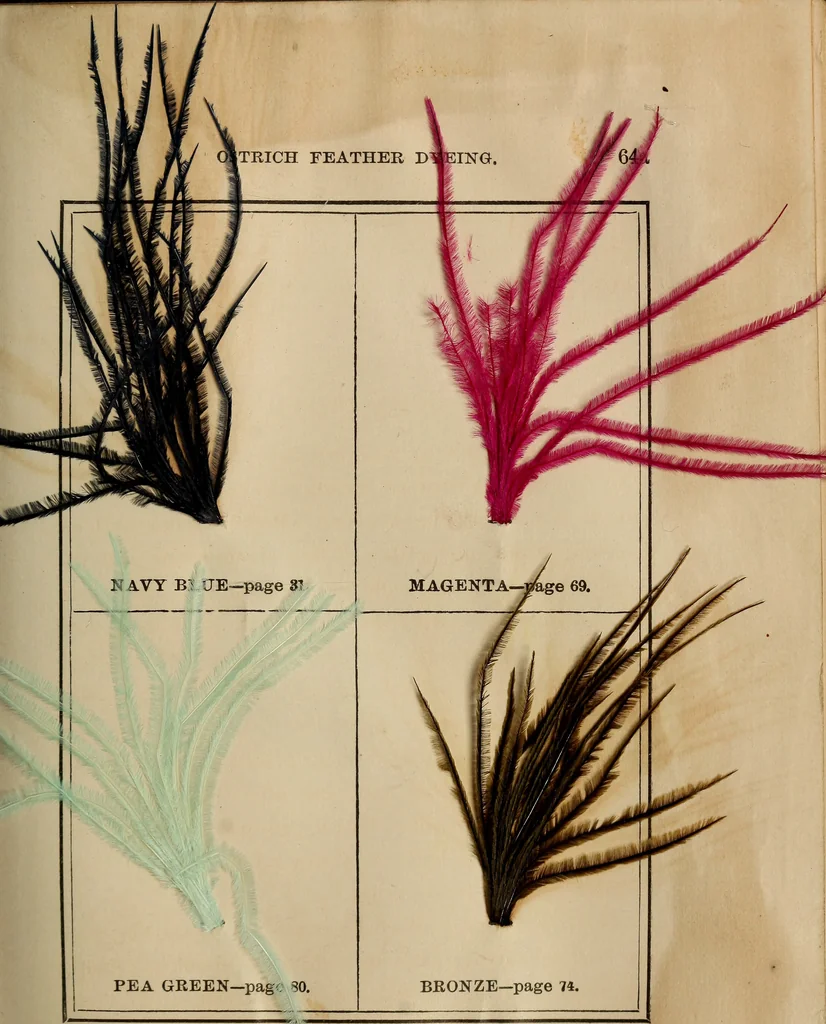 An illustration from The practical ostrich feather dyer, 1888, leaf 102