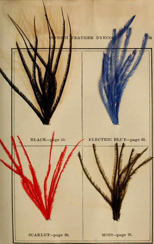 An illustration from The practical ostrich feather dyer, 1888, leaf 110