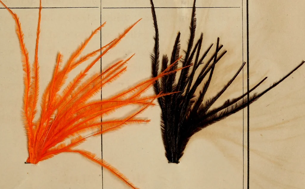 An illustration from The practical ostrich feather dyer, 1888, leaf 118