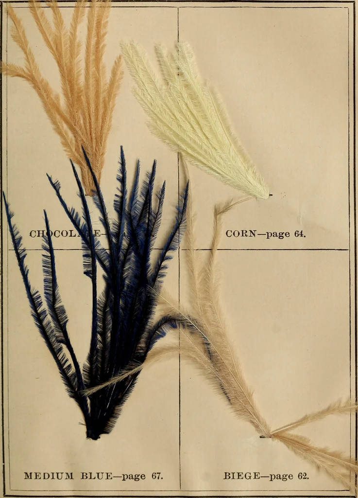 An illustration from The practical ostrich feather dyer, 1888, leaf 62