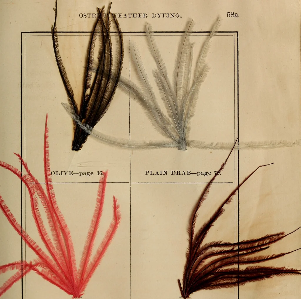 An illustration from The practical ostrich feather dyer, 1888, leaf 94