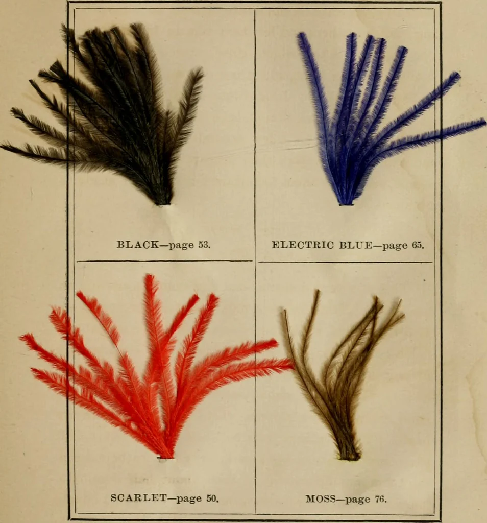 An illustration from The practical ostrich feather dyer, 1888, leaf 106