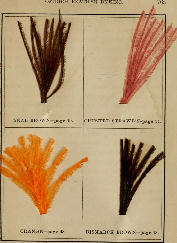 An illustration from The practical ostrich feather dyer, 1888, leaf 114