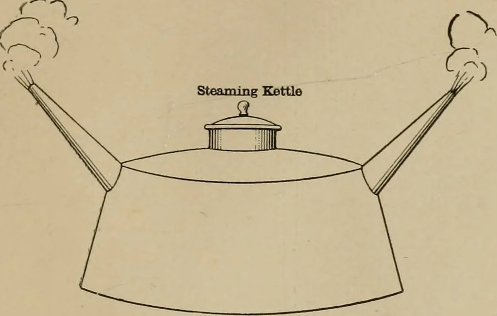 An illustration from The practical ostrich feather dyer, 1888, leaf 18