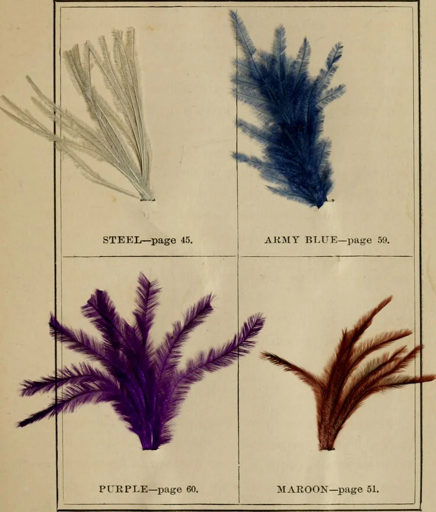 An illustration from The practical ostrich feather dyer, 1888, leaf 74