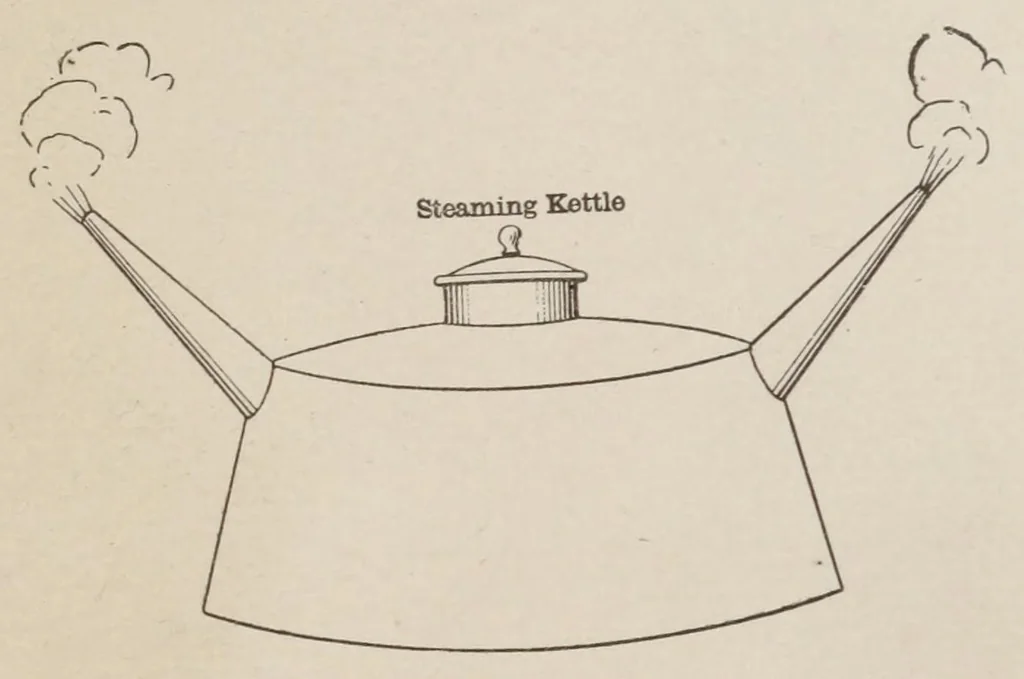 An illustration from The practical ostrich feather dyer, 1888, leaf 19