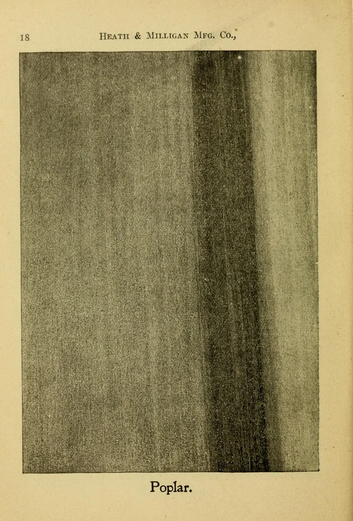 An illustration from Practical painting : and how to use the Heath & Milligan paints, 1905, leaf 32