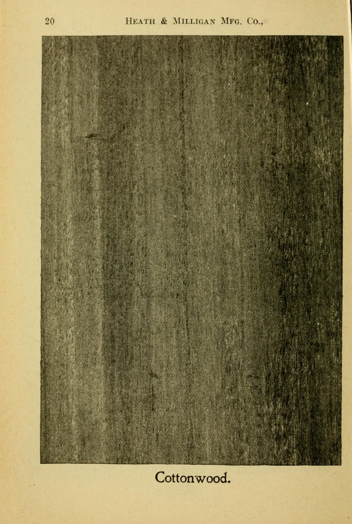 An illustration from Practical painting : and how to use the Heath & Milligan paints, 1905, leaf 34
