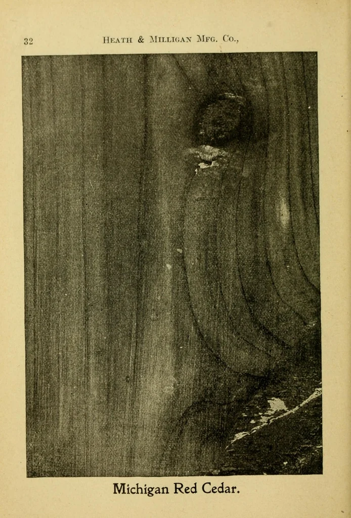 An illustration from Practical painting : and how to use the Heath & Milligan paints, 1905, leaf 46