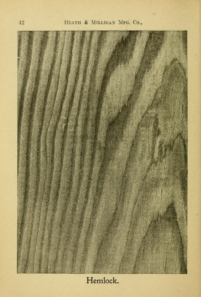An illustration from Practical painting : and how to use the Heath & Milligan paints, 1905, leaf 56