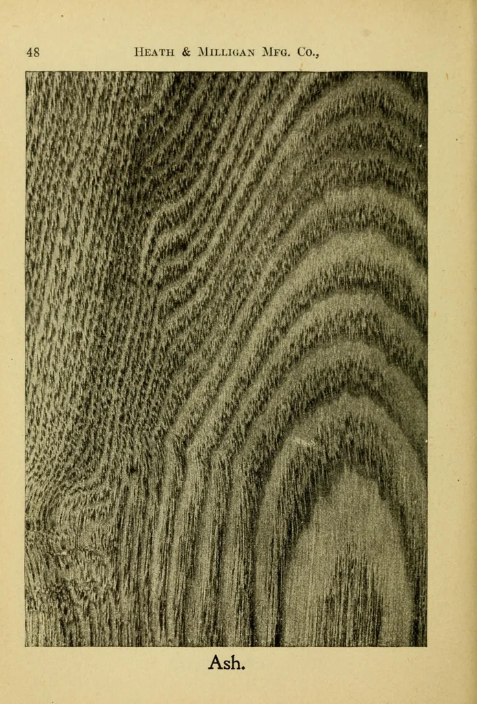 An illustration from Practical painting : and how to use the Heath & Milligan paints, 1905, leaf 62