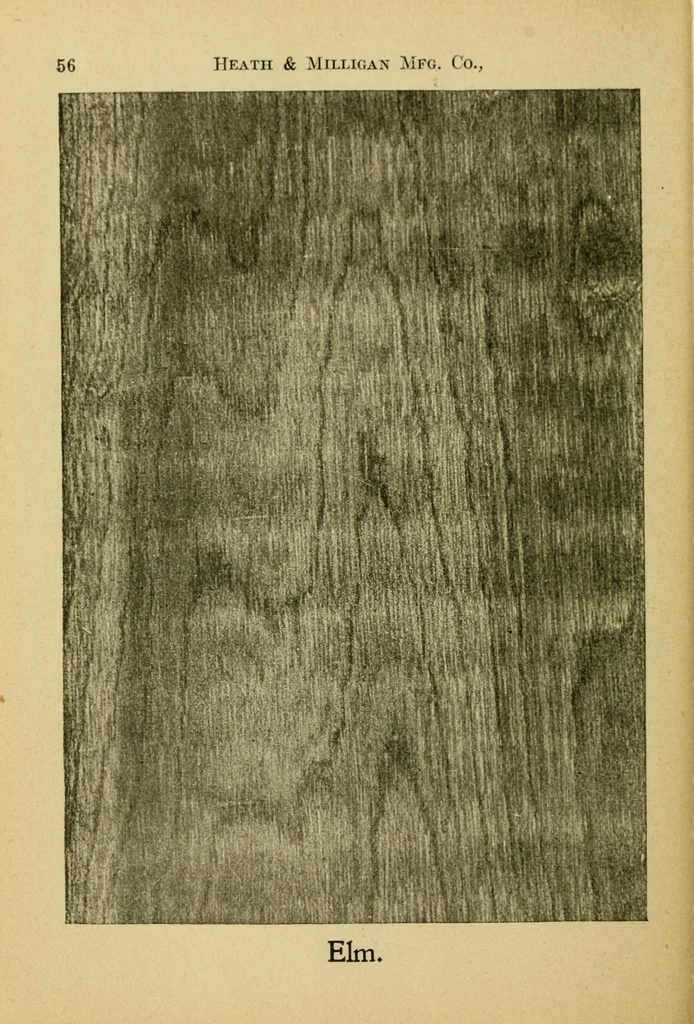 An illustration from Practical painting : and how to use the Heath & Milligan paints, 1905, leaf 70