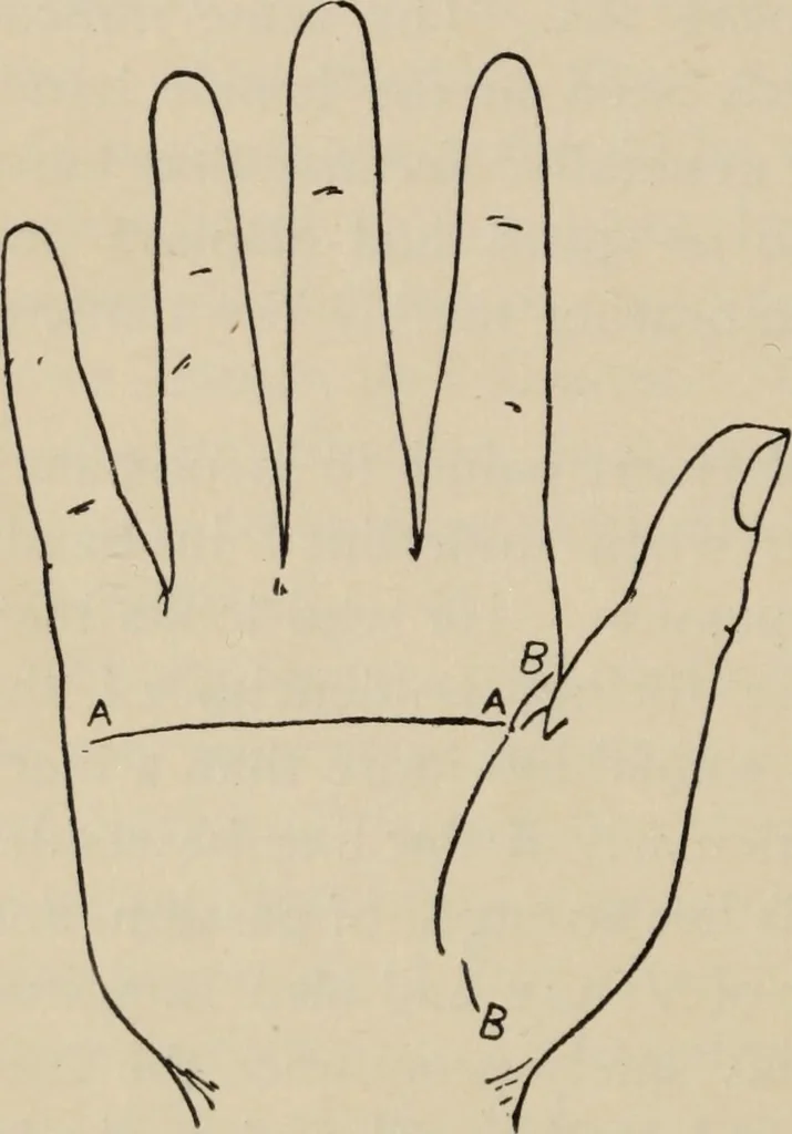 An illustration from Practical palmistry : a reliable treatise on the art of character reading and methods of recalling past and foretelling future events upon examination of the hand, 1904, leaf 107
