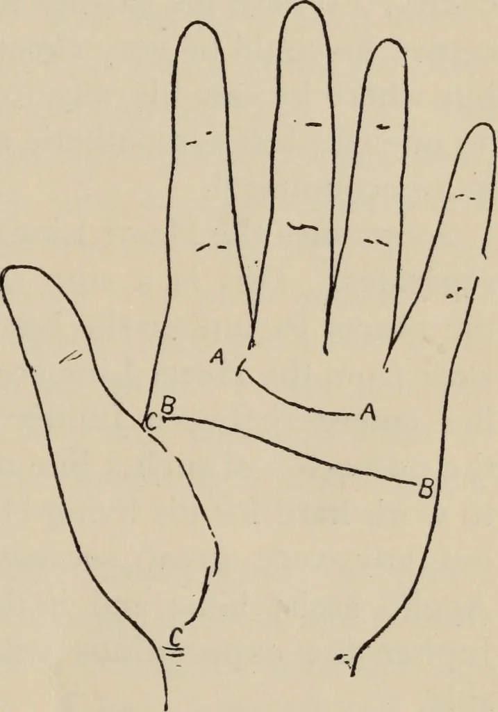 An illustration from Practical palmistry : a reliable treatise on the art of character reading and methods of recalling past and foretelling future events upon examination of the hand, 1904, leaf 108