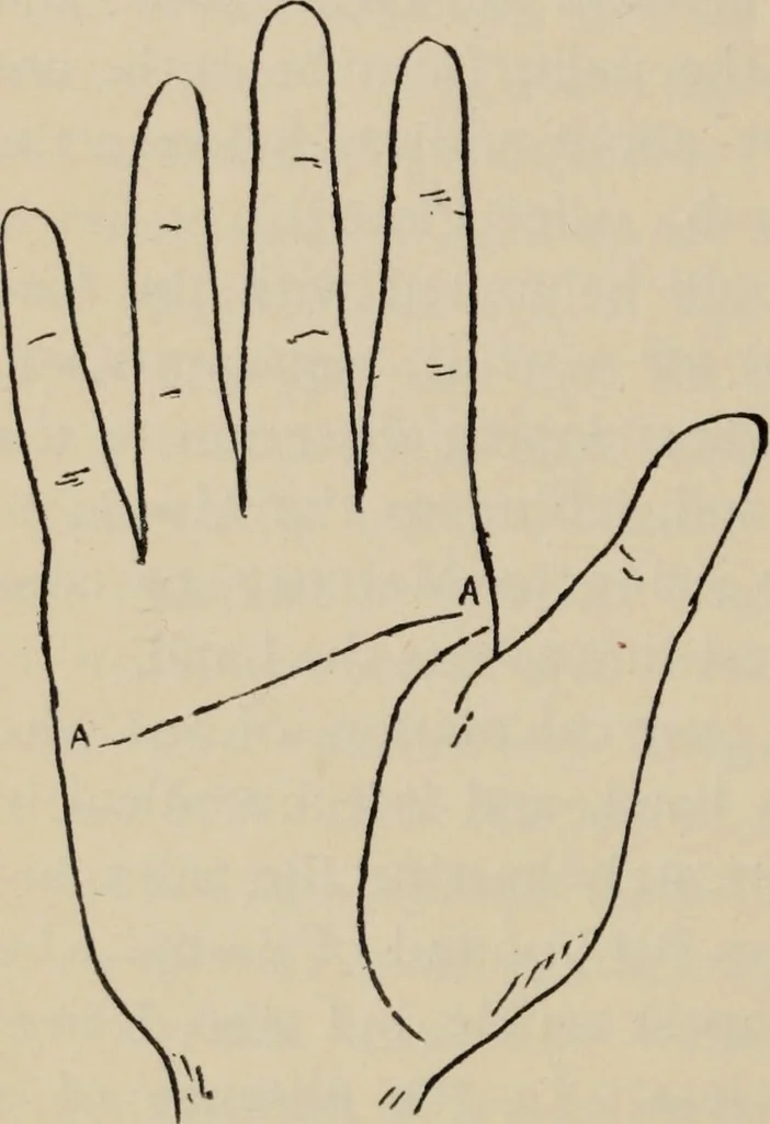 An illustration from Practical palmistry : a reliable treatise on the art of character reading and methods of recalling past and foretelling future events upon examination of the hand, 1904, leaf 119