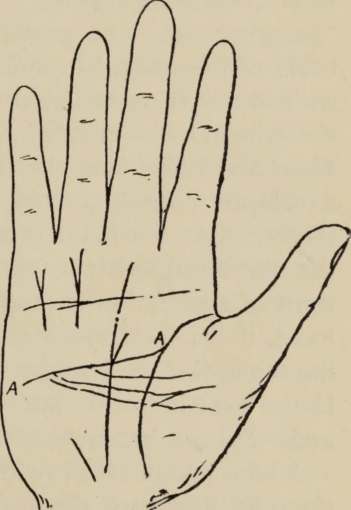 An illustration from Practical palmistry : a reliable treatise on the art of character reading and methods of recalling past and foretelling future events upon examination of the hand, 1904, leaf 120