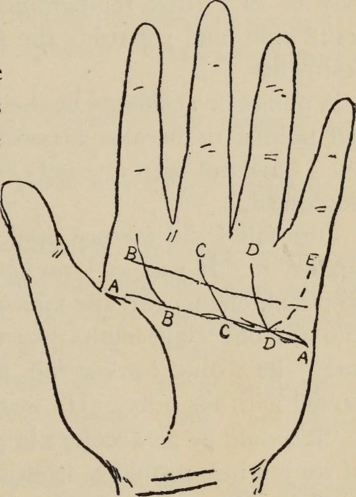 An illustration from Practical palmistry : a reliable treatise on the art of character reading and methods of recalling past and foretelling future events upon examination of the hand, 1904, leaf 126