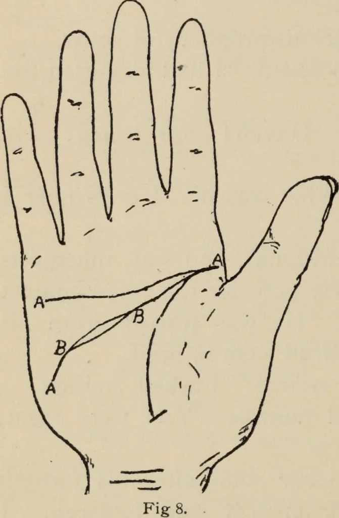 An illustration from Practical palmistry : a reliable treatise on the art of character reading and methods of recalling past and foretelling future events upon examination of the hand, 1904, leaf 129
