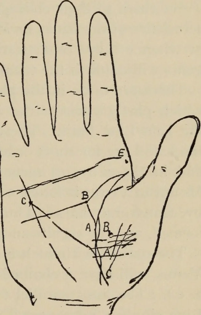 An illustration from Practical palmistry : a reliable treatise on the art of character reading and methods of recalling past and foretelling future events upon examination of the hand, 1904, leaf 142