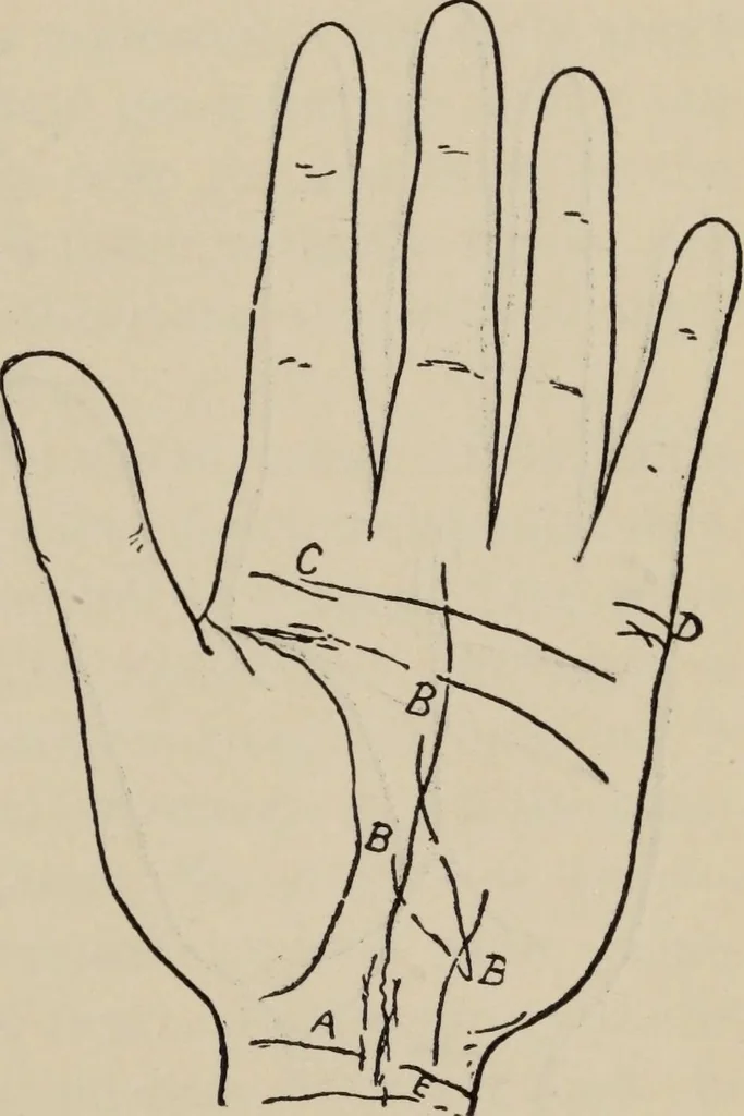An illustration from Practical palmistry : a reliable treatise on the art of character reading and methods of recalling past and foretelling future events upon examination of the hand, 1904, leaf 166