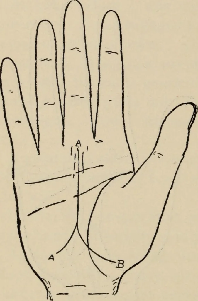 An illustration from Practical palmistry : a reliable treatise on the art of character reading and methods of recalling past and foretelling future events upon examination of the hand, 1904, leaf 167