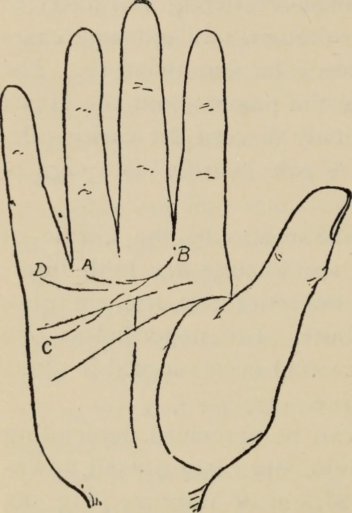 An illustration from Practical palmistry : a reliable treatise on the art of character reading and methods of recalling past and foretelling future events upon examination of the hand, 1904, leaf 189
