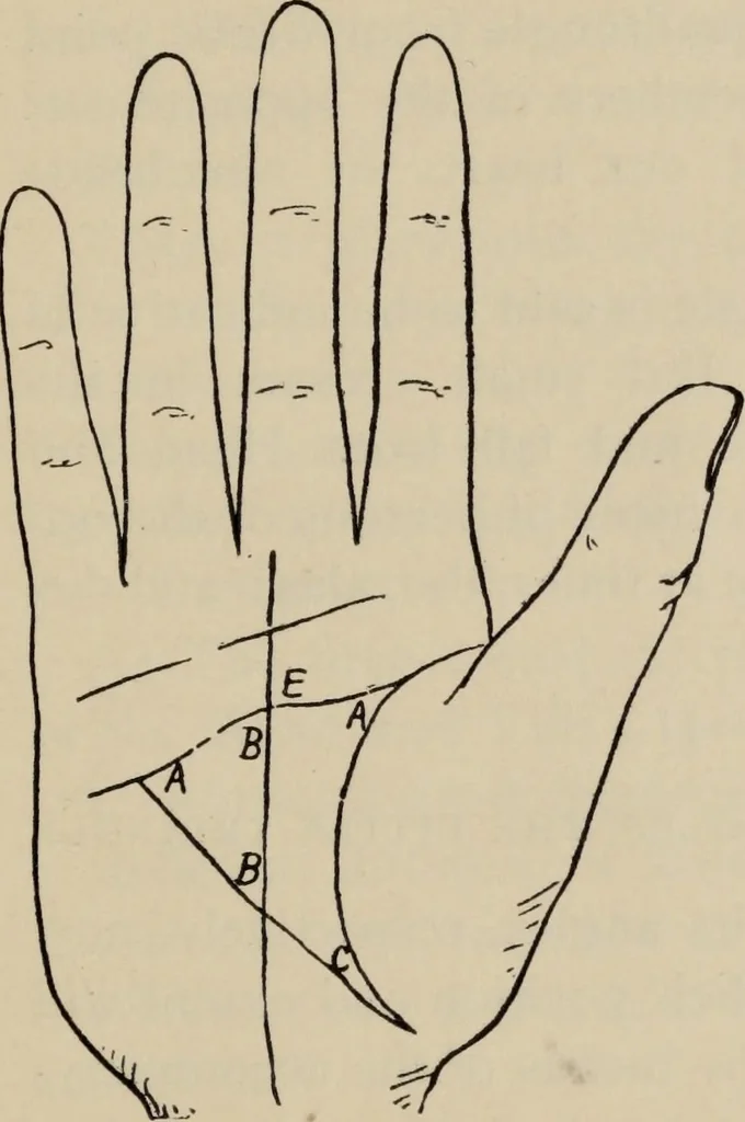 An illustration from Practical palmistry : a reliable treatise on the art of character reading and methods of recalling past and foretelling future events upon examination of the hand, 1904, leaf 208