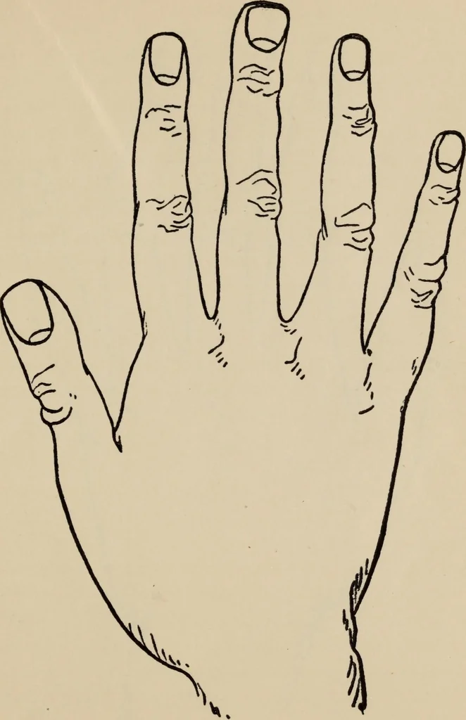 An illustration from Practical palmistry : a reliable treatise on the art of character reading and methods of recalling past and foretelling future events upon examination of the hand, 1904, leaf 48