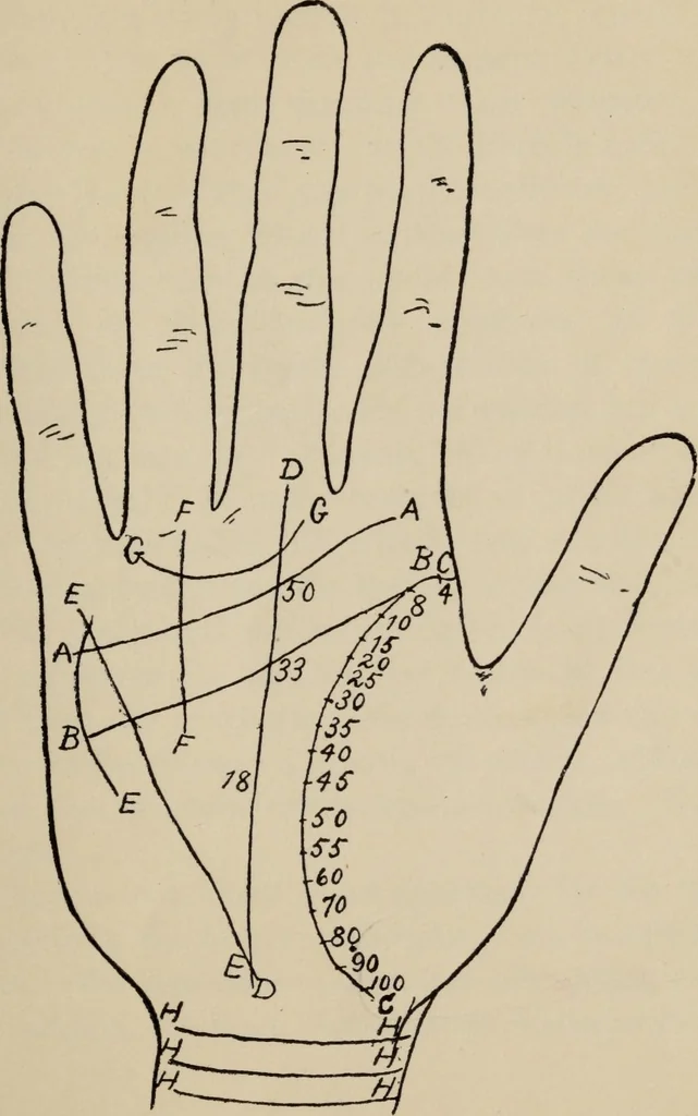 An illustration from Practical palmistry : a reliable treatise on the art of character reading and methods of recalling past and foretelling future events upon examination of the hand, 1904, leaf 96