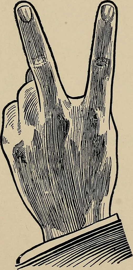 An illustration from Practical phrases of show card writing; a complete manual of the best and latest methods of brush and pen lettering with comprehensive color notes embracing all the most appropriate alphabets, abundantly and accurately illustrated with full description of all the materials necessary, 1922, leaf 82