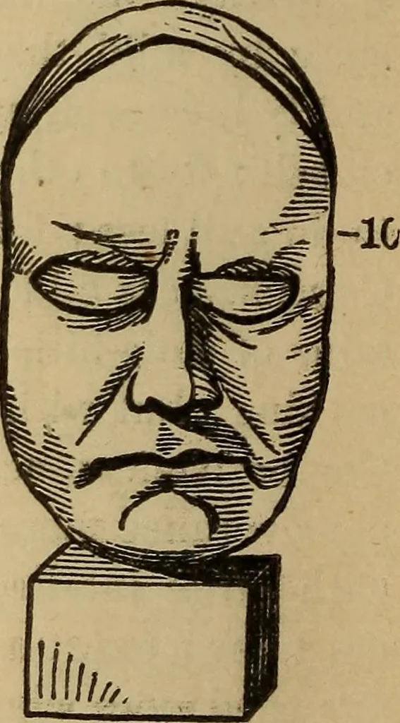 An illustration from The practical phrenologist and recorder and delineator of the character and talents of [blank], as marked by [blank] : a compendium of phreno-organic science, 1869, leaf 103