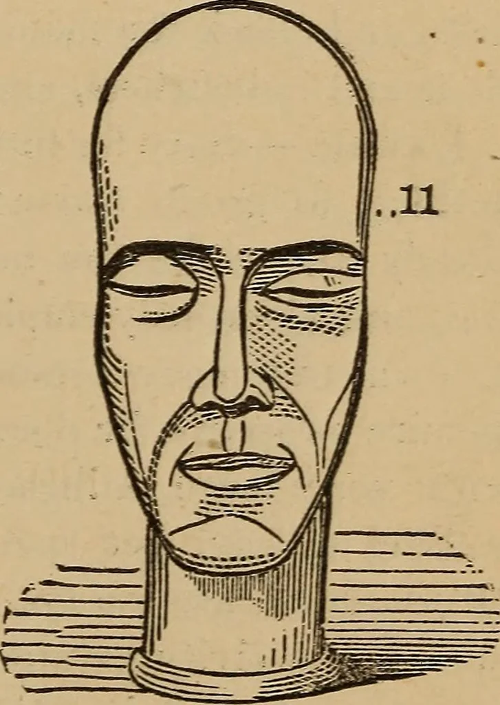 An illustration from The practical phrenologist and recorder and delineator of the character and talents of [blank], as marked by [blank] : a compendium of phreno-organic science, 1869, leaf 106