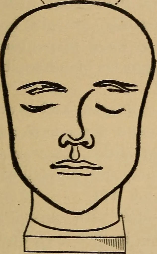 An illustration from The practical phrenologist and recorder and delineator of the character and talents of [blank], as marked by [blank] : a compendium of phreno-organic science, 1869, leaf 144