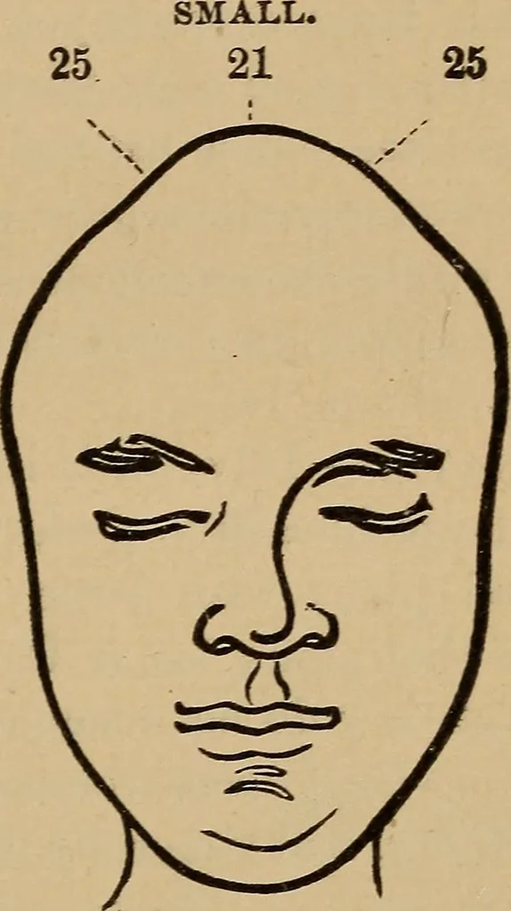 An illustration from The practical phrenologist and recorder and delineator of the character and talents of [blank], as marked by [blank] : a compendium of phreno-organic science, 1869, leaf 144