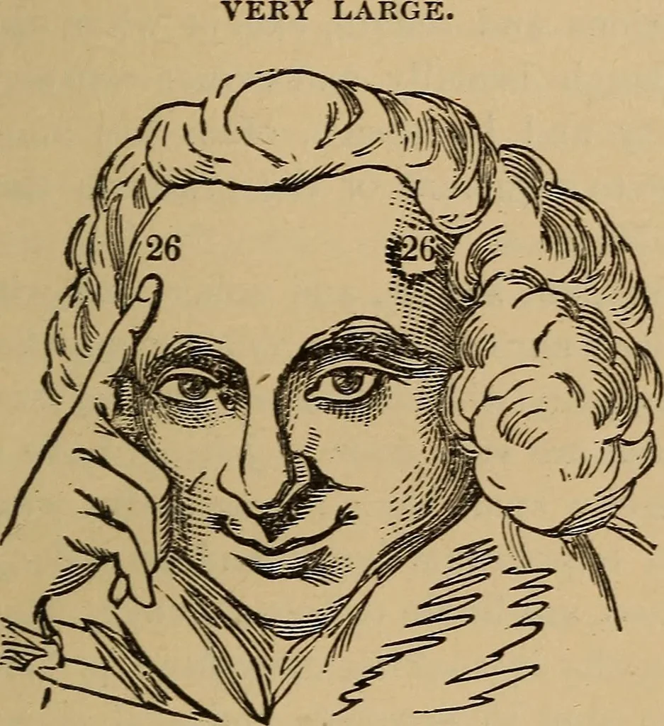 An illustration from The practical phrenologist and recorder and delineator of the character and talents of [blank], as marked by [blank] : a compendium of phreno-organic science, 1869, leaf 146